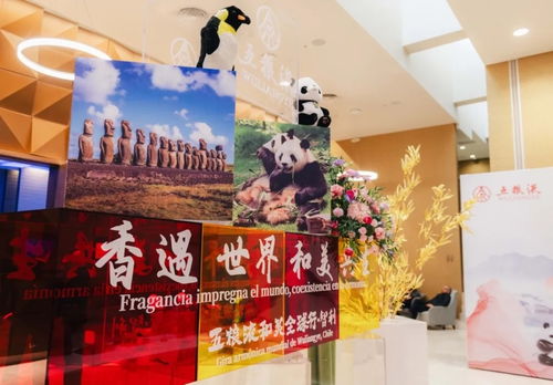 香 遇世界,五糧液和美全球行引領(lǐng)中國白酒 走出去 新征程